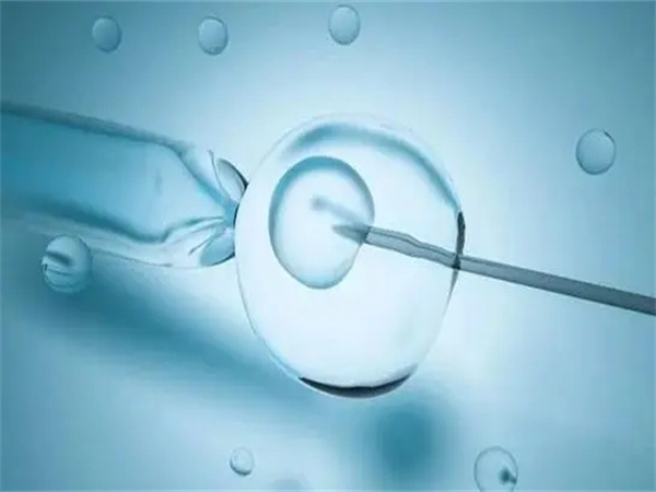 多囊治不好可以做试管婴儿吗